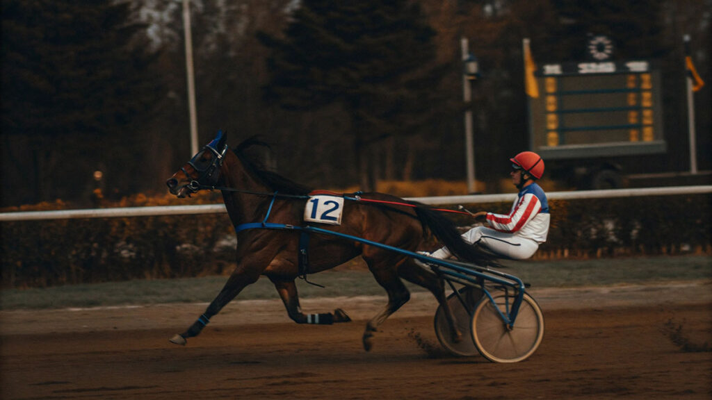 duel quinte