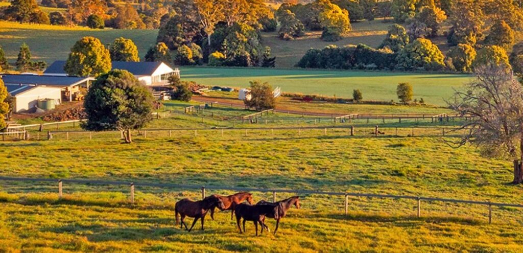 Countryside & Rural Retreats