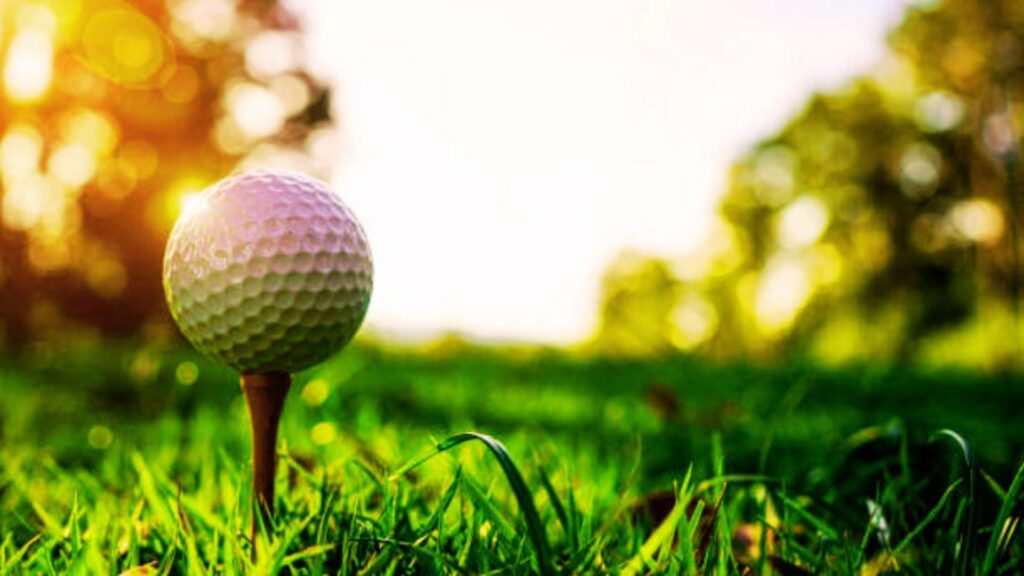 Differences Between Amateur Professional and International Sports